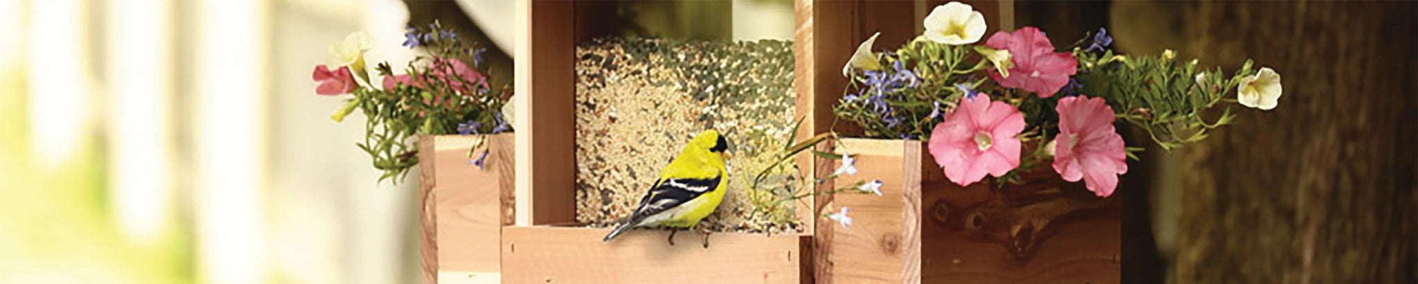 Cedar Wood Miscellaneous