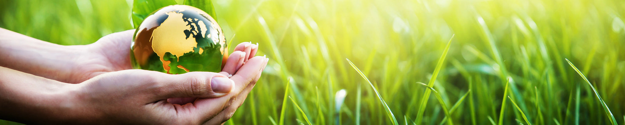 Eco-Friendly Hangers
